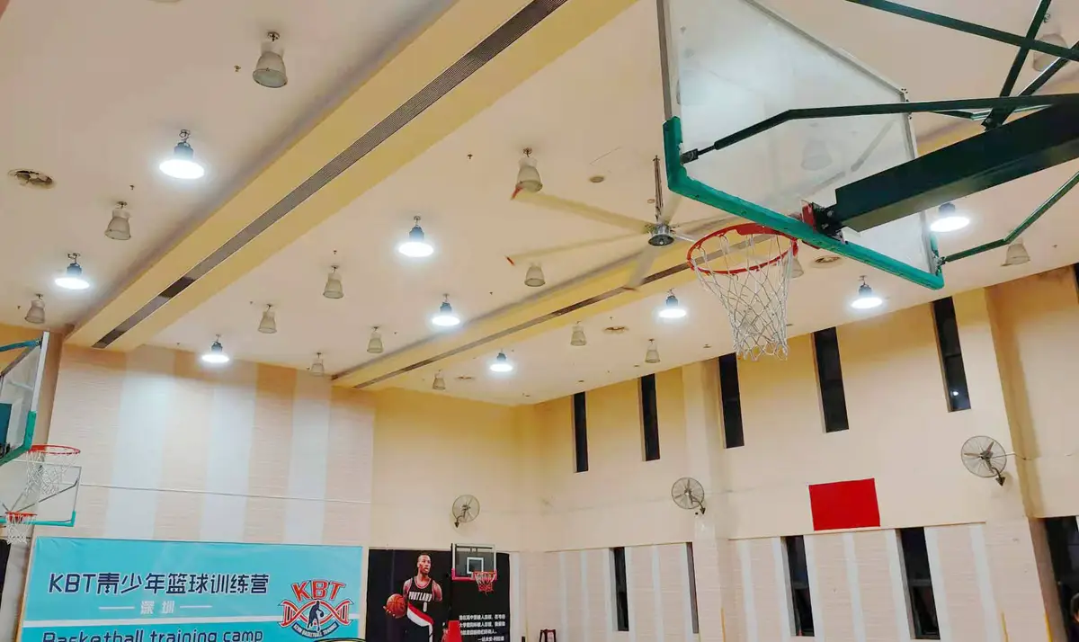 为什么刻苦训练对篮球运动员发展至关重要_0